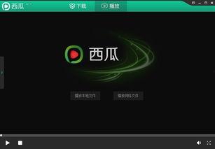 13在线视频,揭秘网络世界的精彩瞬间